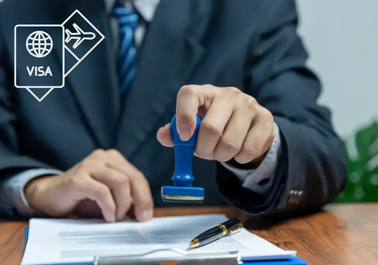 Growth Strategy & Fractional CMO
